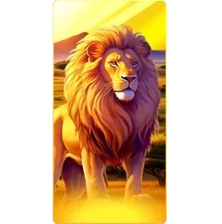 Lion
Safari